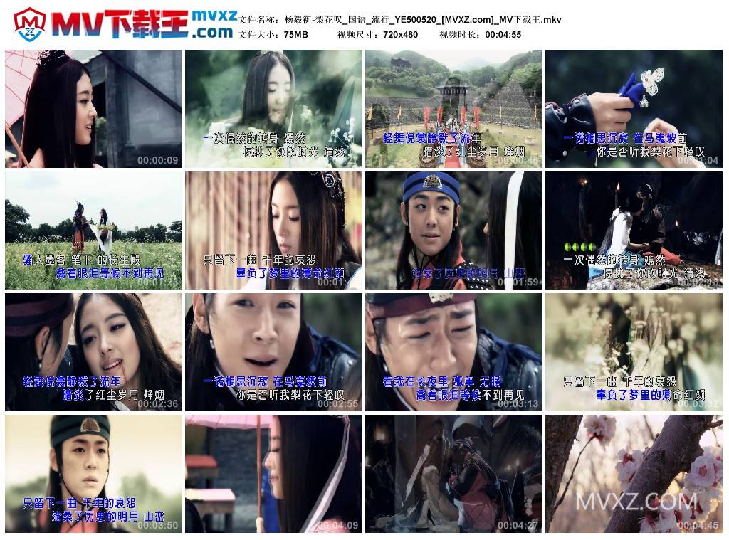 杨毅衡-梨花叹_国语_流行_YE500520